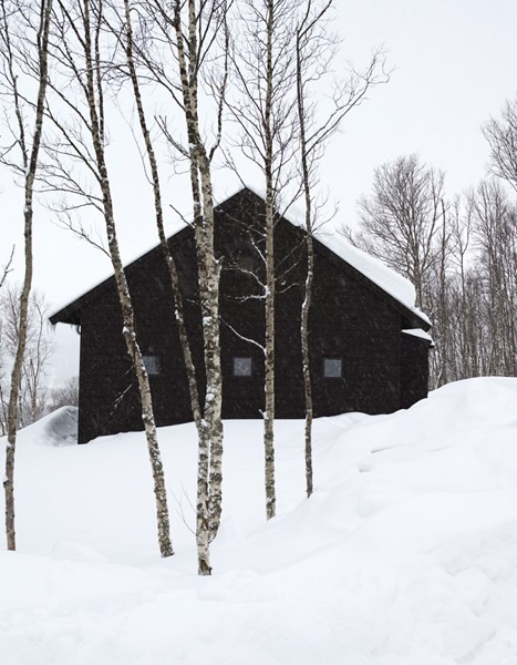 ����ɫ��С�m���e��