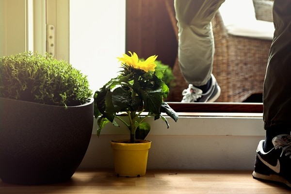 �w���ϵĺ�(ji��n)�s����������¹�Ԣ