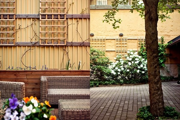 �w���ϵĺ�(ji��n)�s����������¹�Ԣ