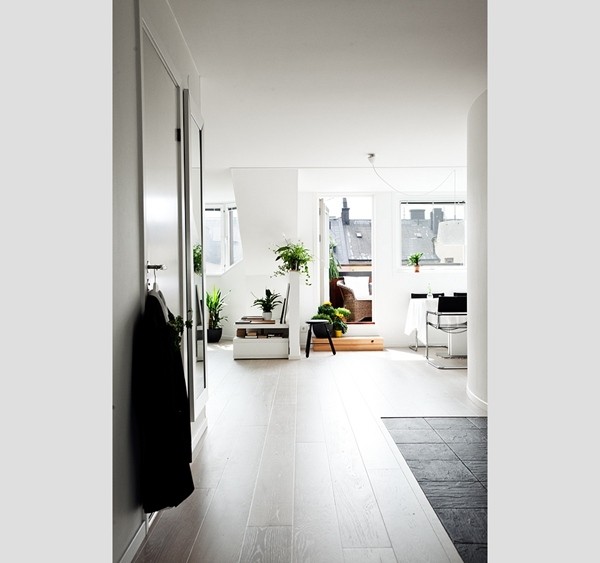 �w���ϵĺ�(ji��n)�s����������¹�Ԣ