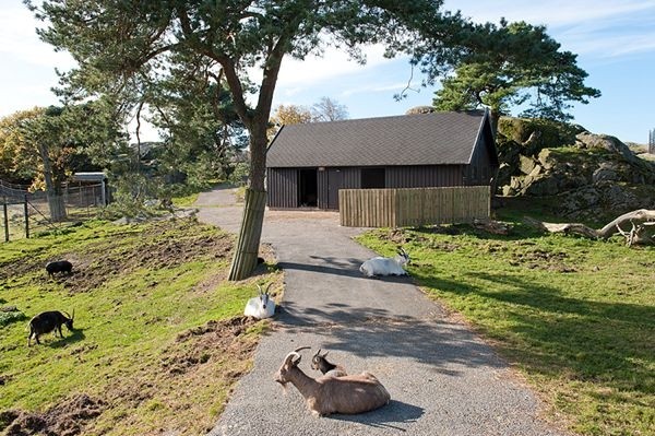 ���ϰl(f��)չ���33ƽ��С��(h��)�͹�Ԣ