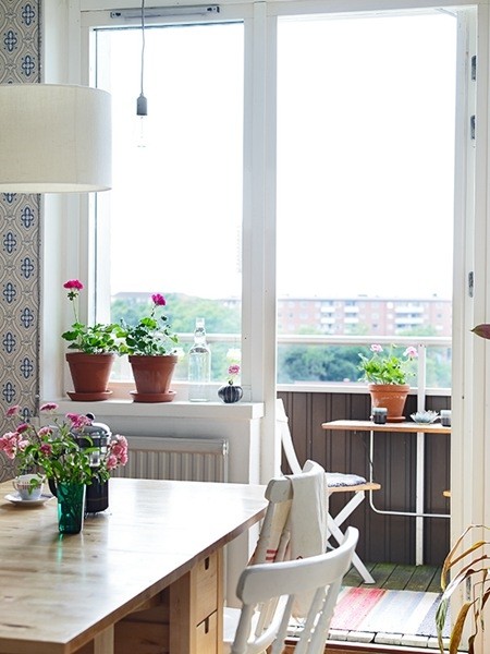 ���ϰl(f��)չ���33ƽ��С��(h��)�͹�Ԣ