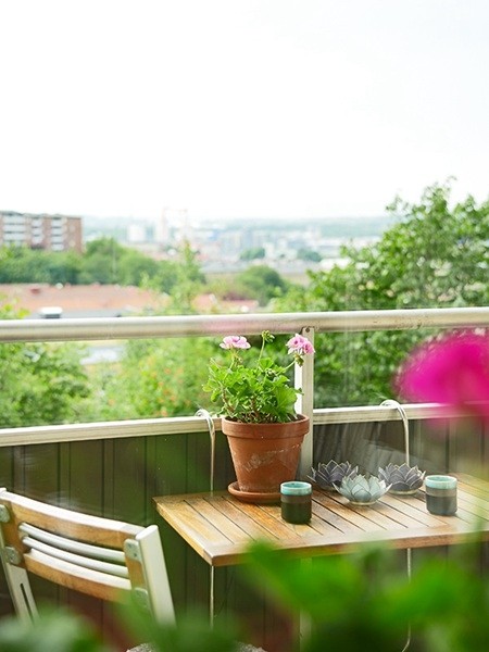 ���ϰl(f��)չ���33ƽ��С��(h��)�͹�Ԣ