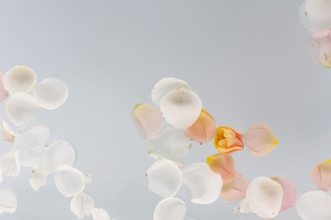 �Ͼ�HouseOfLight