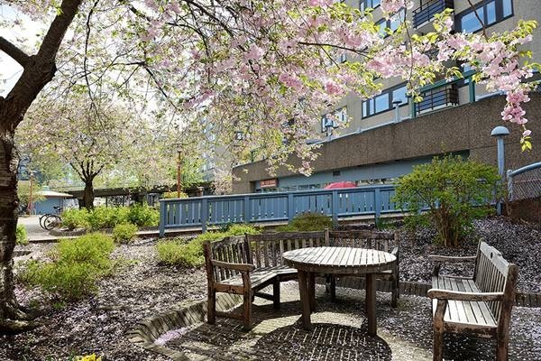 �ɔ[�O���ռ{�����85ƽ�׹�Ԣ