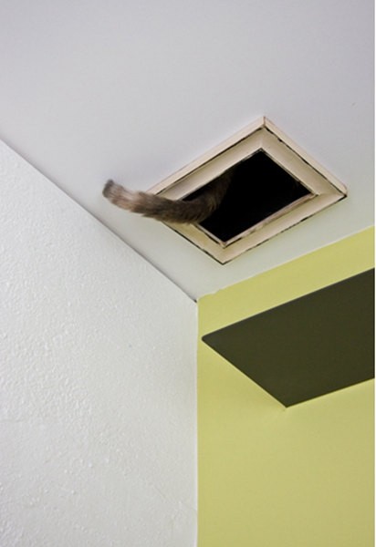 ؈�䌙��(��i)�ձ������(��i)؈֮��