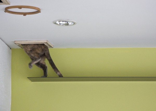 ؈�䌙��(��i)�ձ������(��i)؈֮��