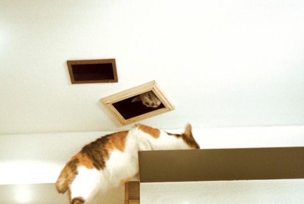 ؈�䌙��(��i)�ձ������(��i)؈֮��