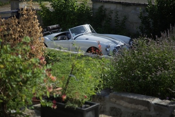 �ɐ�(��i)��ܰ�ķ���ChezRicetFer�õ�