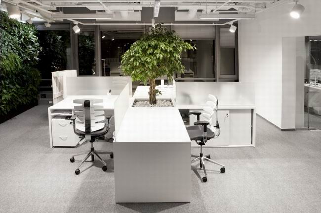 ��ʿ�����m�Aɳ�k����