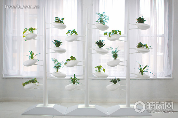 10���Ҿ߈A��(m��ng)��(h��)��r(sh��)��