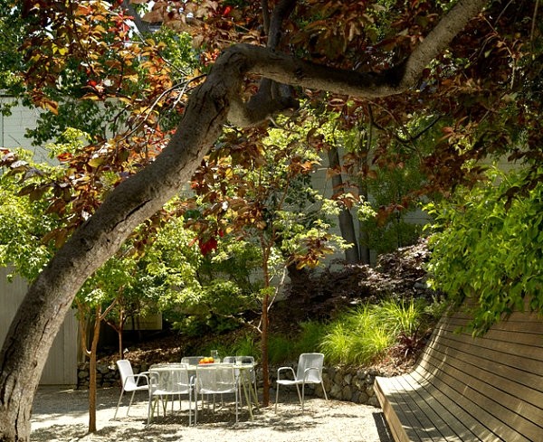 һ������ͥԺ�OӋ�е����c(di��n)