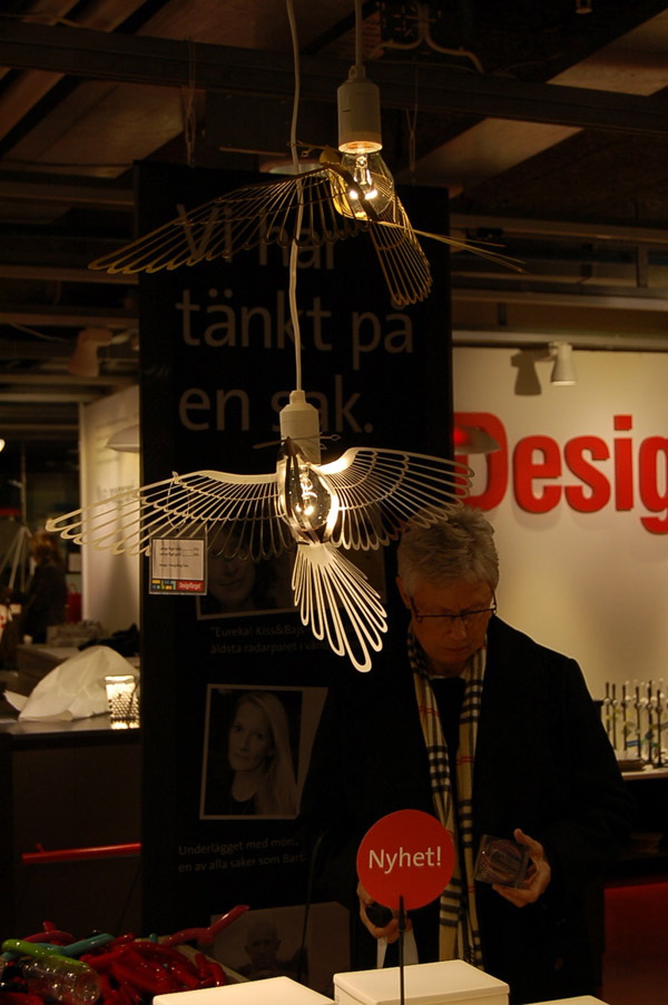 ������յ��B(ni��o)�Ο��