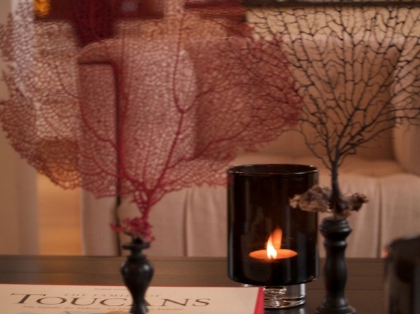 ����һ��Ĳ�ɫ�w��(һ)