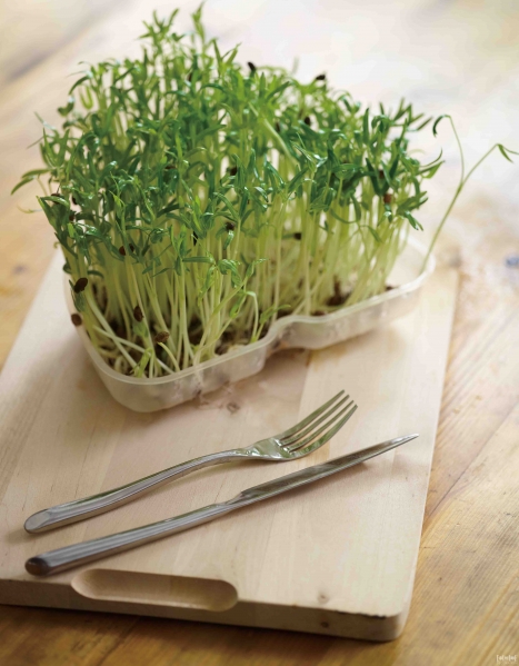 �Xȡ����Ȼ��(chu��ng  )��Ԫ�ص����OӋ