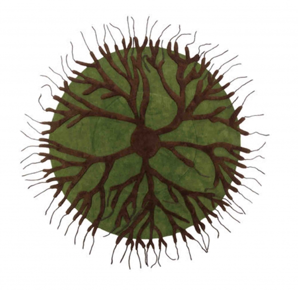 �Xȡ����Ȼ��(chu��ng  )��Ԫ�ص����OӋ