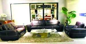 ɳ�l(f��)һ�N����������d�w