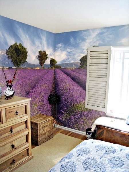 �Ҿ�ܛ�b��څ�ݱڼ���(hu��)�c(di��n)�����g