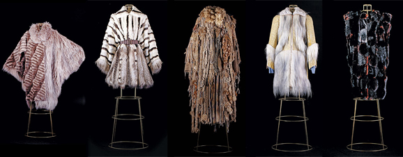 �K��һ����Ƥ�ݶ���Ƥ�ݴ���