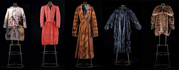 �K��һ����Ƥ�ݶ���Ƥ�ݴ���