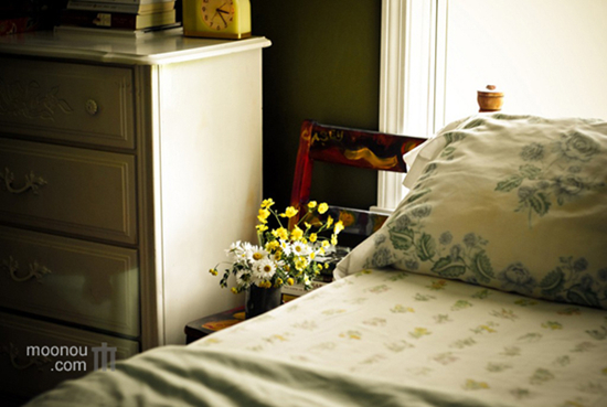 M(mn)c(din)ζ͹Ŝůļ