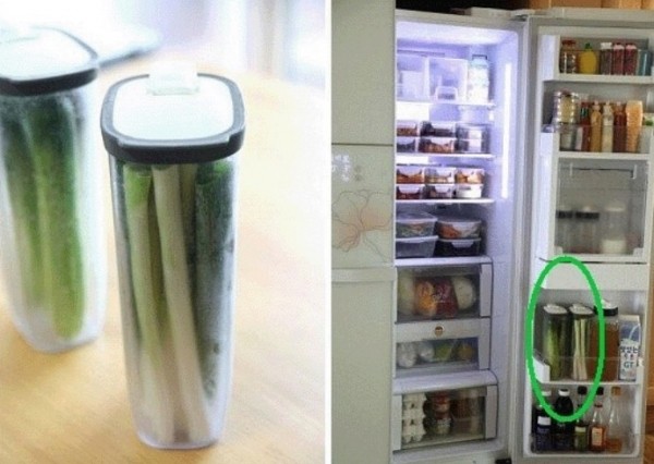 �n�����D�ı�����g����С�E�[