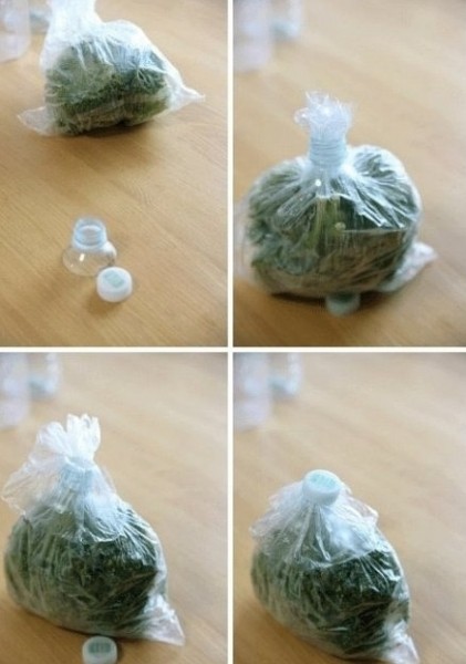 �n�����D�ı�����g����С�E�[