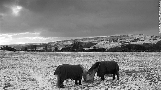 �V��(xi��)�����ٸ�ȫ��˴���������������