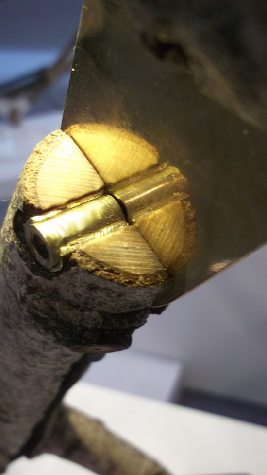 ��(sh��)֦������(chu��ng  )�����