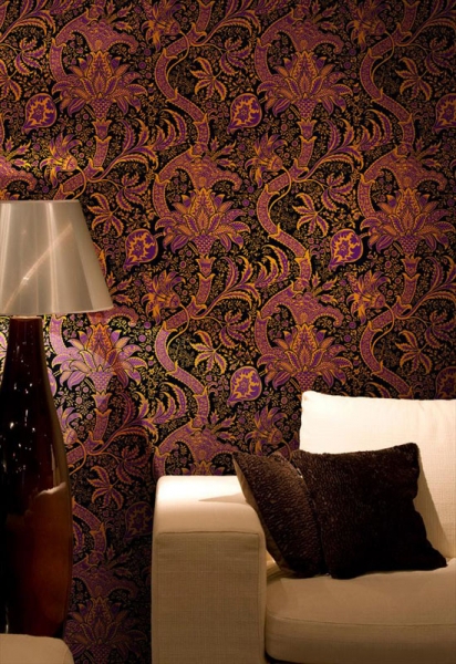 ��͸�ĉ������]��һ��