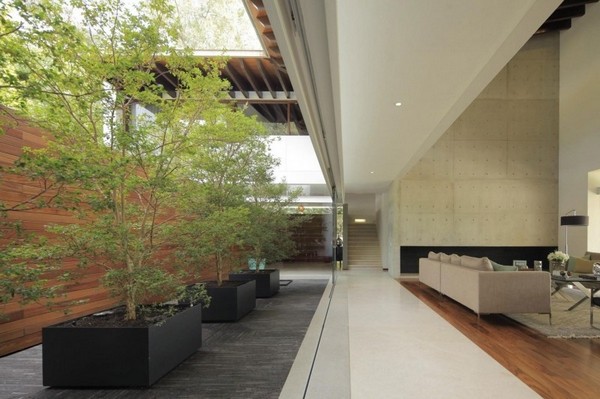 ī����CasaSiete�������@��ؼң�����