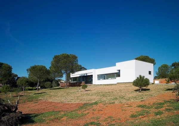 ��@�|(zh��)���L(f��ng)���������סլ(1)