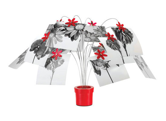 (chung  )⻨ͼƷ|(zh)