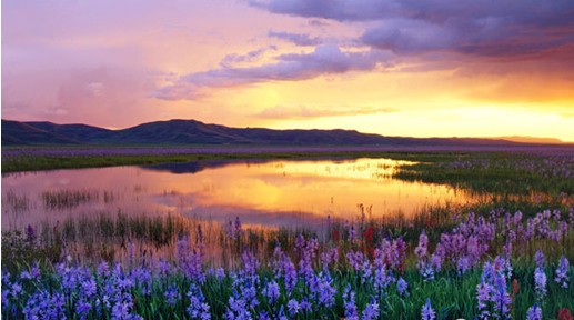 �W�ɼҼ����c����s����������