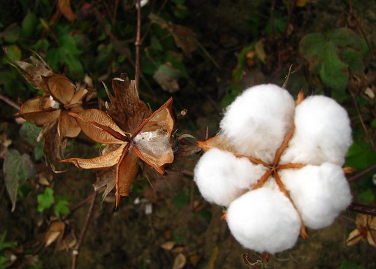 Ұl(f)2014޻Ŀ˃r(ji)