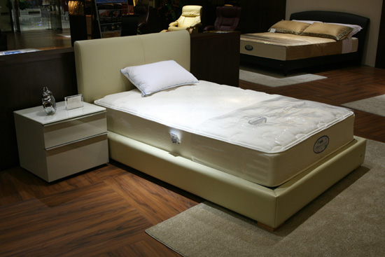 ֪l(shu)l(f)ϯ(mng)˼