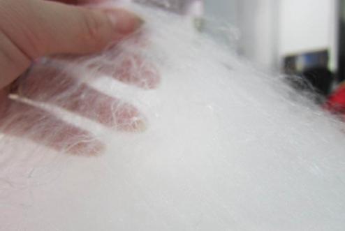 L(chng)|(zh)OyQz˳ɲϸ