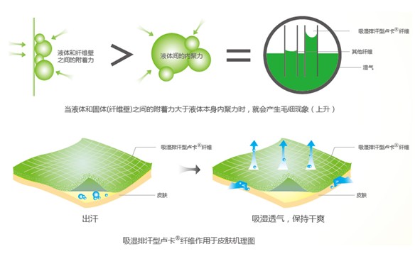 �{Ʒ����R���w�S����ˬ˯�߲��ǉ�(m��ng)��