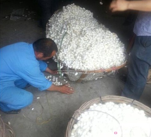 ͩldȵ_(ki)ʼُ괺O