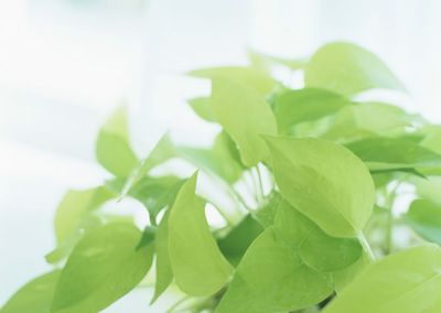 �ļ������˯����