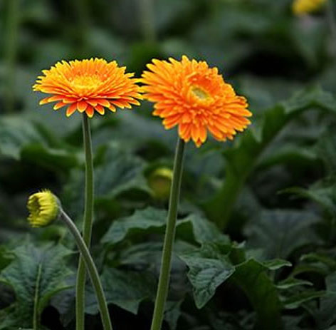 �����՚���҃�ֲ���b����ס��Ҫ���m����