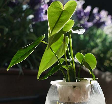 �����՚���҃�ֲ���b����ס��Ҫ���m����