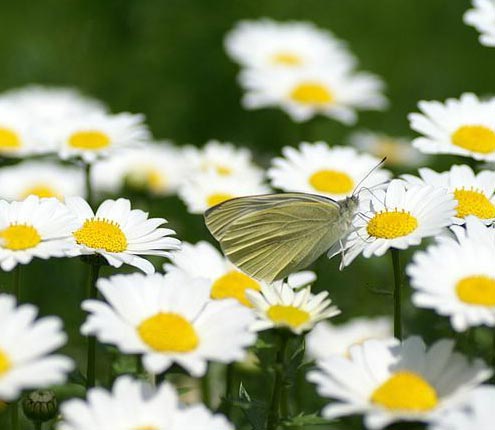 �����՚���҃�ֲ���b����ס��Ҫ���m����