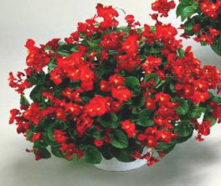 �����՚���҃�ֲ���b����ס��Ҫ���m����