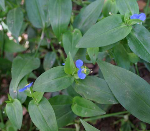 �����՚���҃�ֲ���b����ס��Ҫ���m����