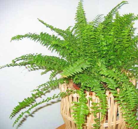 �����՚���҃�ֲ���b����ס��Ҫ���m����