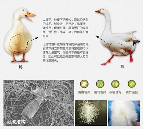 WɼҼu(mi)xُƷq