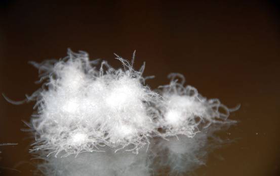 WɼҼu(mi)xُƷq