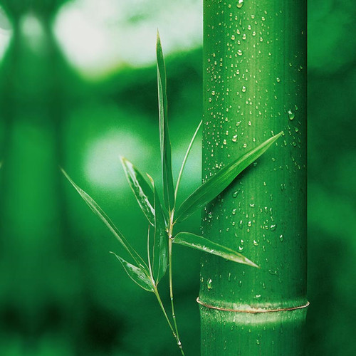 ��̿�w�S�Ҽ��ă�(y��u)��������