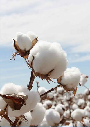 �W�ɼҼ������������ۼ���һ�ӵğ��